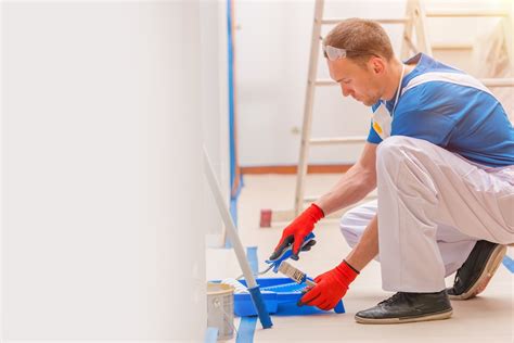 paint inspection training courses|professional painter training programs.